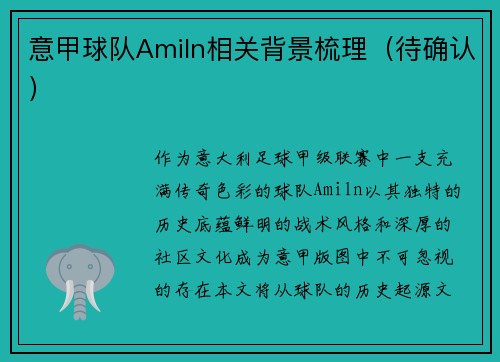 意甲球队Amiln相关背景梳理（待确认）