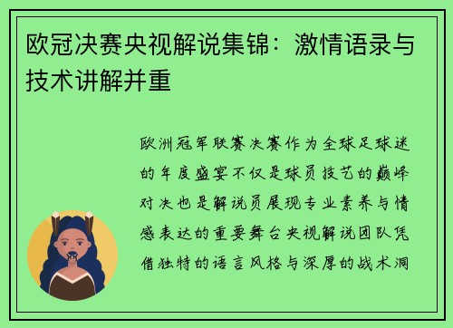 欧冠决赛央视解说集锦：激情语录与技术讲解并重