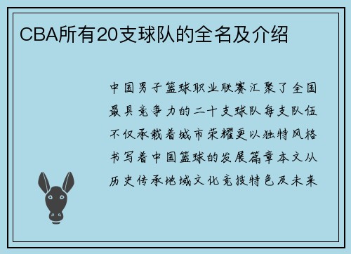 CBA所有20支球队的全名及介绍