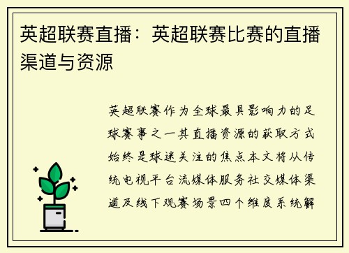 英超联赛直播：英超联赛比赛的直播渠道与资源